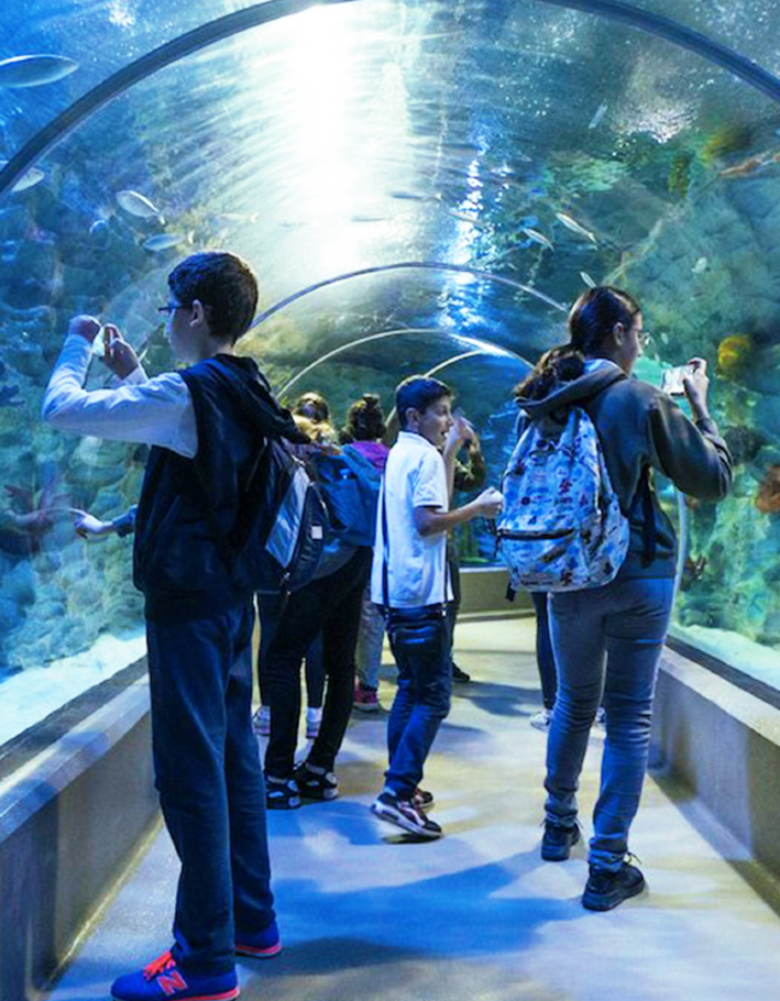 EMAAR AQUARIUM AND UNDERWATER ZOO